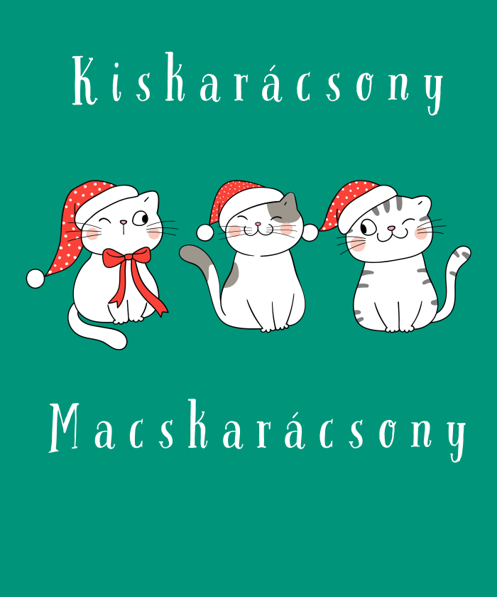 009 Macsakrácsony 11 - 1