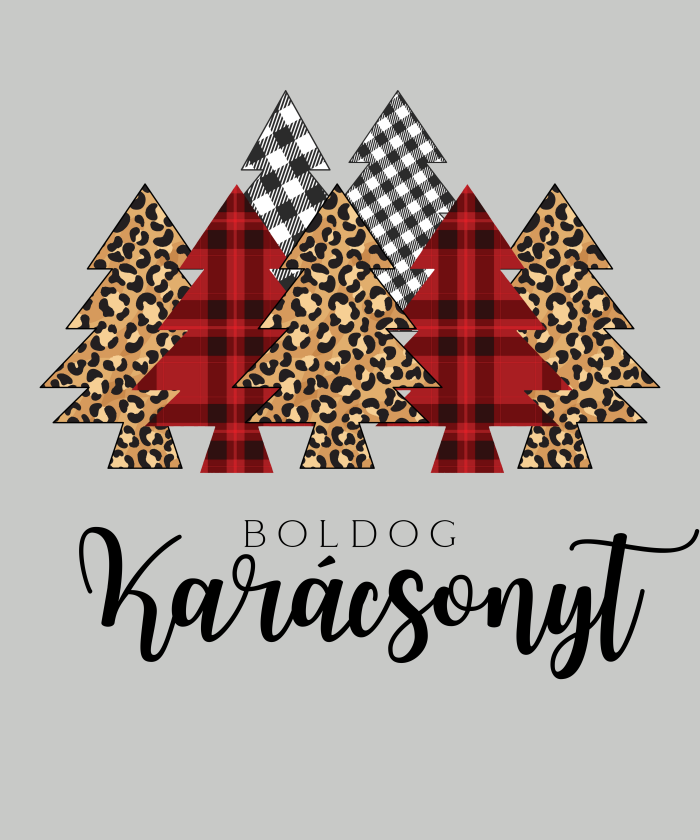 066 Boldog Karácsonyt DIVATOS 1 - 1