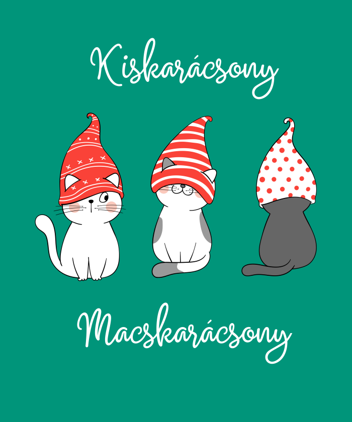 009 Macsakrácsony 5 - 1