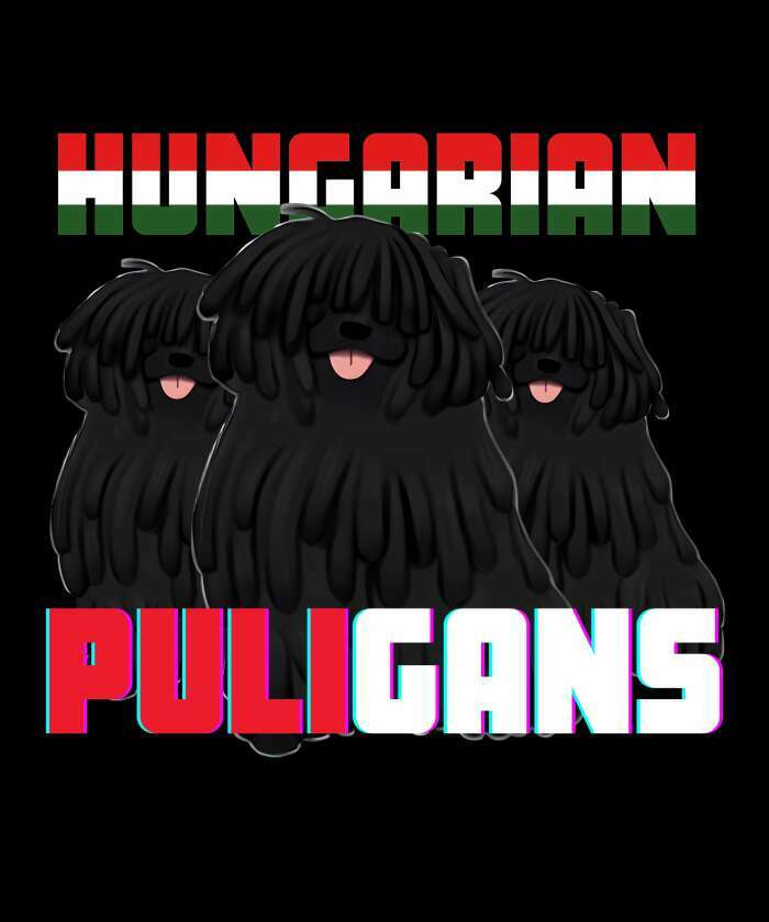 Hungarian puligans 3 fekete - 1